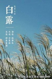 <b>露從今夜白，夜自此日涼！</b>